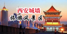 黄色淫荡的网站免费看中国陕西-西安城墙旅游风景区