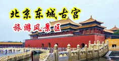 日逼黄色视频下载中国北京-东城古宫旅游风景区